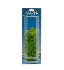 Plante pentru acvariu Hagen Marina Hornworth PP812, 20 cm 